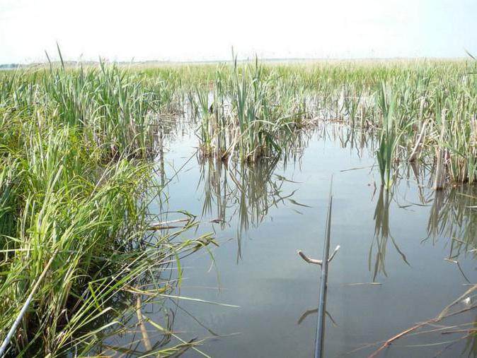 Lago Urethy Chelyabinsk Regione