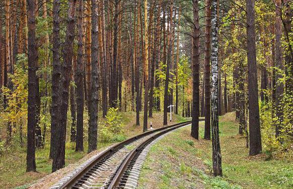 Visiti Novosibirsk? Il parco Zaeltsovsky merita un'attenzione particolare