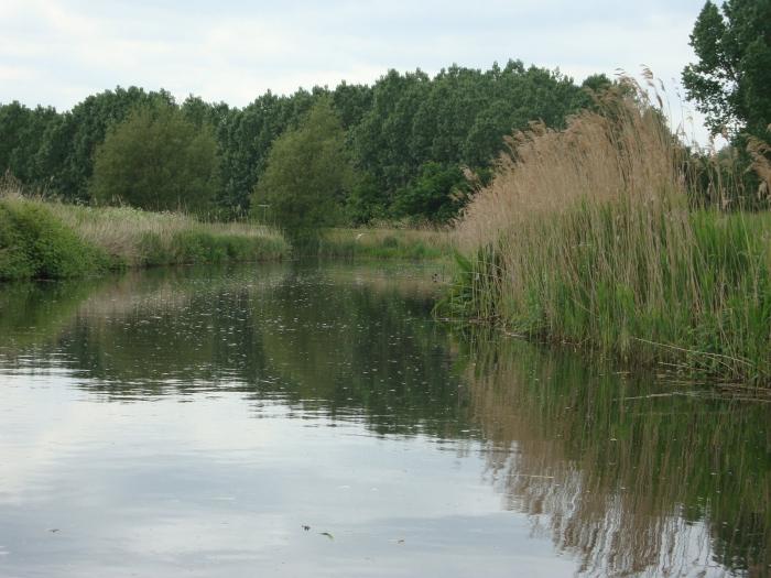 Canne da pesca in basso: dispositivo e applicazione