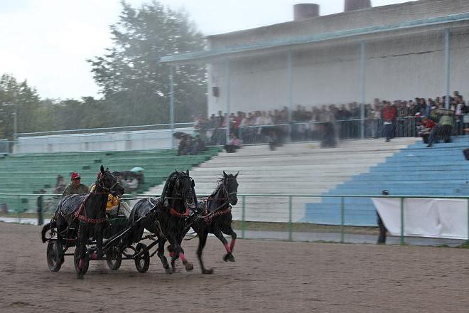 Ippodromo Novosibirsk