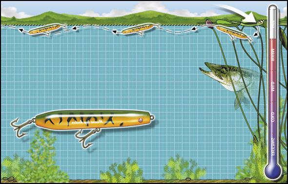 tecnica della pesca del luccio per la filatura