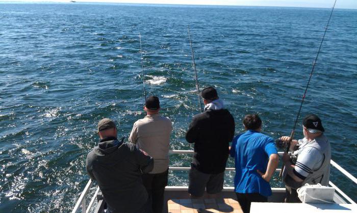 Attrezzatura per la pesca nel lago Baikal in estate