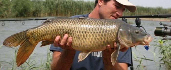 Pesca in Daghestan: caratteristiche dei luoghi di pesca