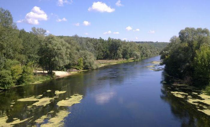 Pesca nella regione di Kharkov: i posti migliori