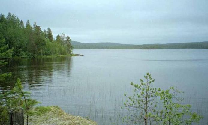 pesca invernale a Tyumen