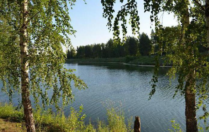 pesca nel posto di Tyumen