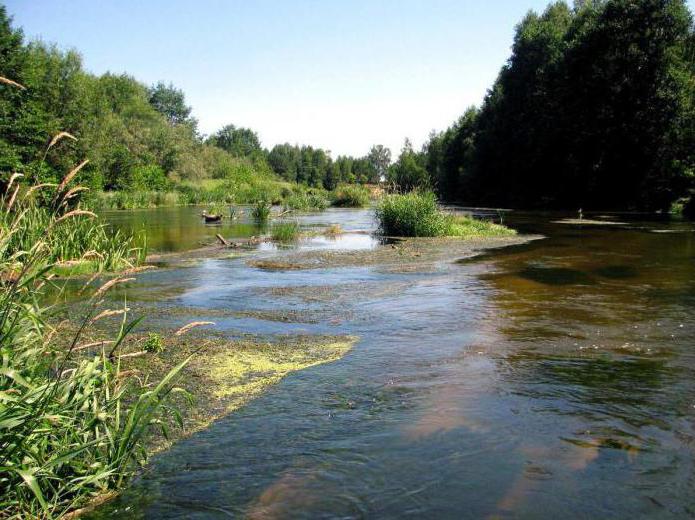 luoghi di pesca della regione di Nizhny Novgorod 