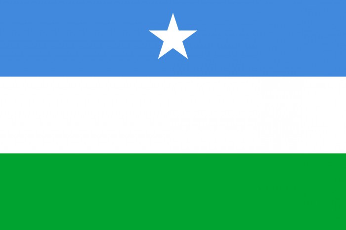 Come appare la bandiera della Somalia?