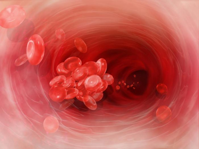 il sangue arterioso scorre nel 