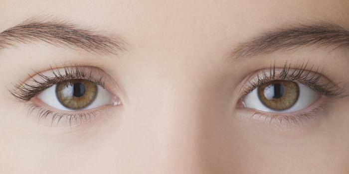 infiammazione degli occhi in un bambino rispetto al trattamento